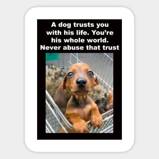 A Dog Trusts You Sticker